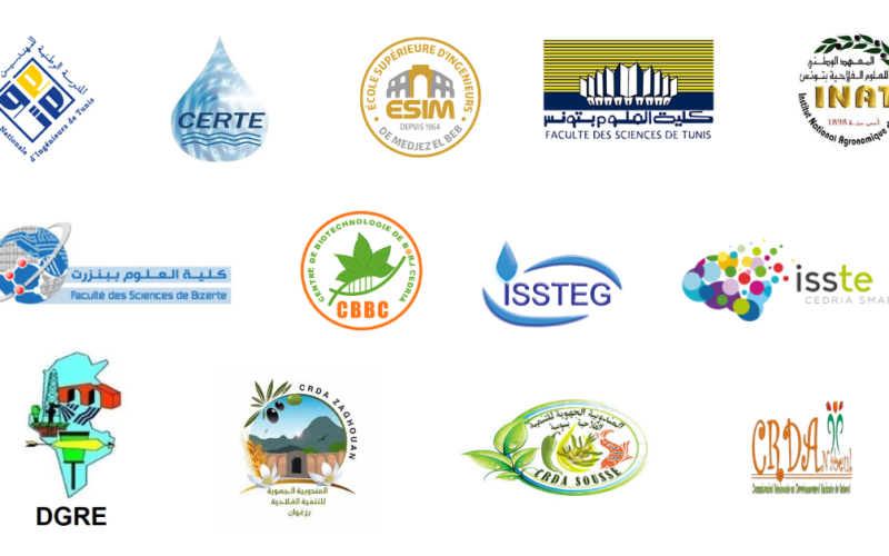 Participants